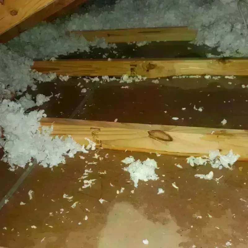 Attic Water Damage in Needham, MA