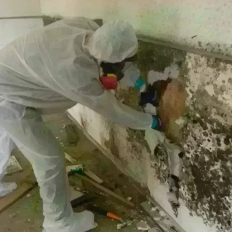 Mold Remediation and Removal in Needham, MA