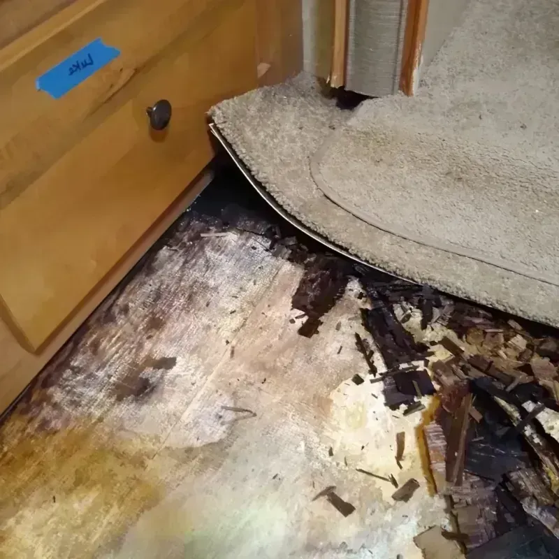 Best Wood Floor Water Damage Service in Needham, MA